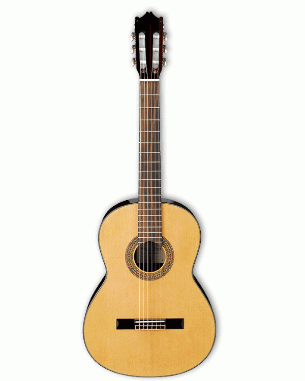 Гітара класична IBANEZ G100 NT
