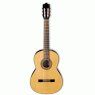 Гітара класична IBANEZ G100 NT