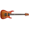 ESP LTD H 500 (ACSB)