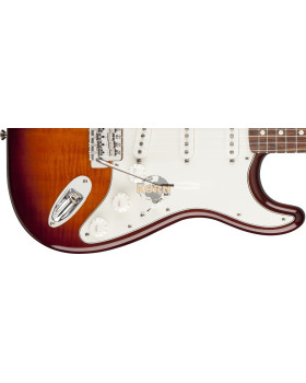 FENDER STANDARD STRATOCASTER PLUS TOP FR RW TBS Електрогітара-foto4