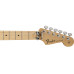 FENDER STANDARD STRATOCASTER PLUS TOP MN ACB Електрогітара