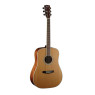 CORT Earth202 OPN