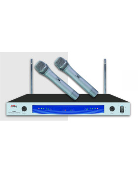 SOUNDKING EW202 H