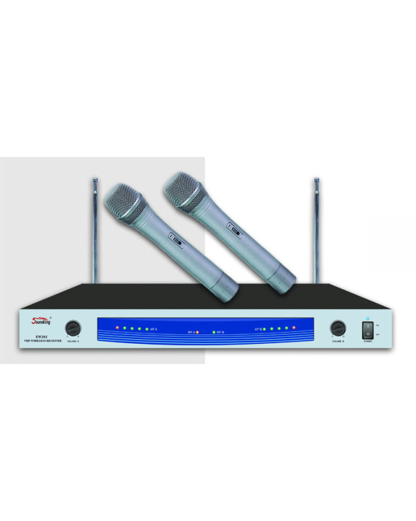 SOUNDKING EW202 H