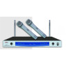 SOUNDKING EW202 H