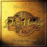 Струни для акустичної гітари DEAN MARKLEY 2202