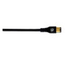 PLANET WAVES PW-FW-10