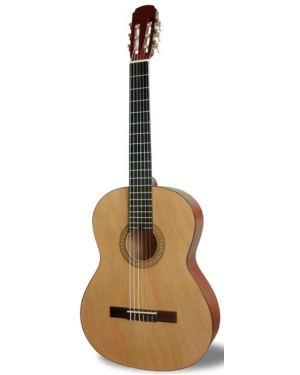Гітара класична MAXTONE CGC-3902