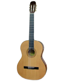 Гітара класична MAXTONE CGC-3906-foto2