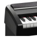 KORG SP-170DX BK Цифрове піаніно