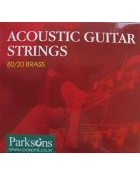 Струни для акустичної гітари PARKSONS S1048 ACOUSTIC XL (10-48) Струни для акустичної гітари PARKSONS S1048 ACOUSTIC XL (10-48)