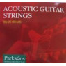 Струни для акустичної гітари PARKSONS S1048 ACOUSTIC XL (10-48)