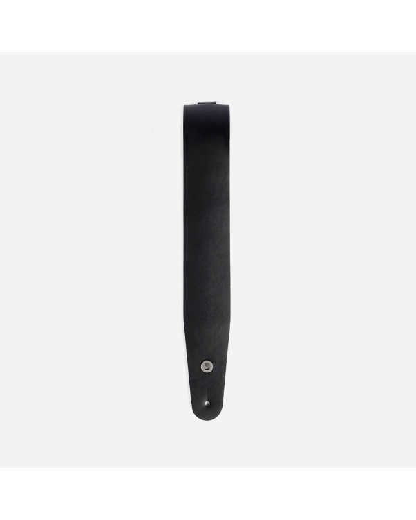 PLANET WAVES 25L00-DX