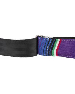 FENDER STRAP 2" SERAPE PURPLE MULTI Ремінь гітарний-foto5