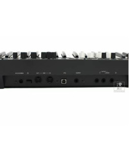 KORG WAVESTATE Синтезатор-foto9