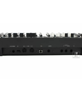 KORG WAVESTATE Синтезатор-foto9