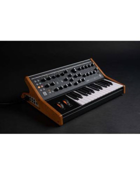 MOOG SUBSEQUENT 25 Синтезатор аналогового моделювання-foto3