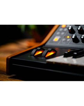 MOOG SUBSEQUENT 25 Синтезатор аналогового моделювання-foto6