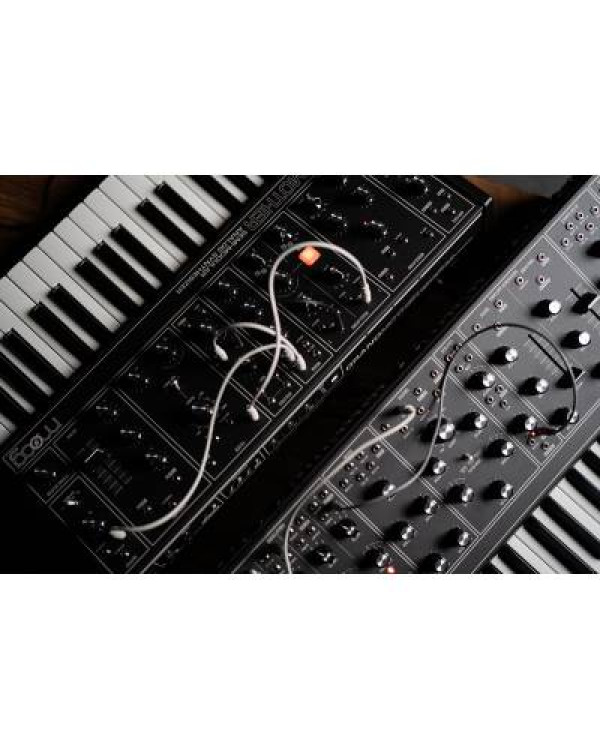 MOOG GRANDMOTHER DARK Синтезатор аналоговий