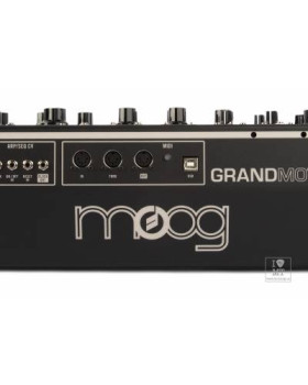 MOOG GRANDMOTHER DARK Синтезатор аналоговий-foto5