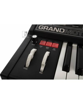 MOOG GRANDMOTHER DARK Синтезатор аналоговий-foto10