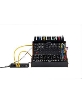 MOOG SOUND STUDIO SEMI MODULAR BUNDLE MOTHER-32 та DFAM Синтезатор аналоговий-foto3