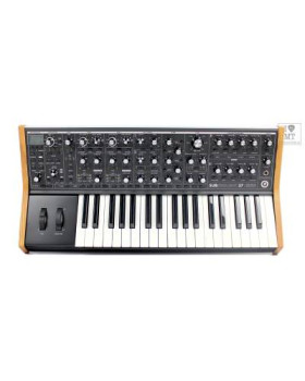 MOOG SUBSEQUENT 37 Синтезатор аналоговий