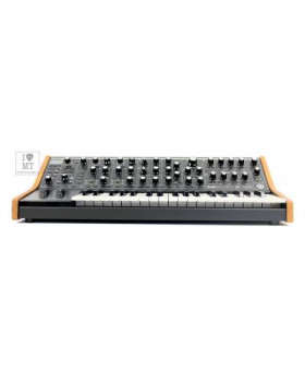 MOOG SUBSEQUENT 37 Синтезатор аналоговий-foto3