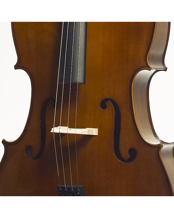 STENTOR 1108/C STUDENT II CELLO OUTFIT 3/4