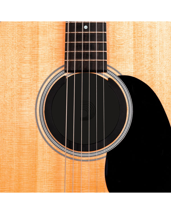 Зволожувач-супресор для гітари D'ADDARIO PW-ASSH-01 Screeching Halt Humidifier