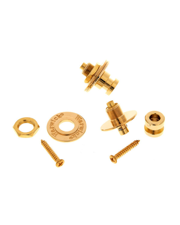 Стреплоки PAXPHIL S30306G W Security Straplocks (Gold)