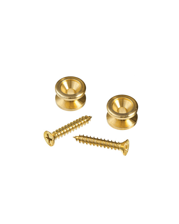 Стреплоки D'ADDARIO PWEP302 BRASS END PIN