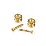 Стреплоки D'ADDARIO PWEP302 BRASS END PIN