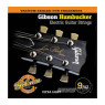 GIBSON SEG-SA9 HUMBUCKER SPECIAL ALLOY .009-.042 Струни для електрогітар