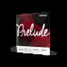 Струни для скрипки D'ADDARIO PRELUDE VIOLIN STRING SET 1/2 Scale Medium Tension