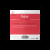 Струни для скрипки D'ADDARIO PRELUDE VIOLIN STRING SET 4/4 Scale Heavy Tension