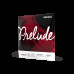 Струни для скрипки D'ADDARIO PRELUDE VIOLIN STRING SET 4/4 Scale Heavy Tension