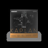 Струни для скрипки D'ADDARIO KAPLAN AMO VIOLIN STRING SET 4/4 Scale Medium Tension