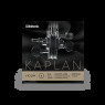 Струни для скрипки D'ADDARIO KAPLAN VIOLIN Non-Whistling Aluminum Wound E String 4/4 Scale Medium Tension