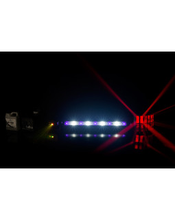 CHAUVET JAM PACK GOLD-foto7
