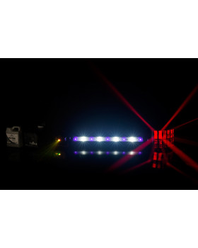 CHAUVET JAM PACK GOLD-foto7