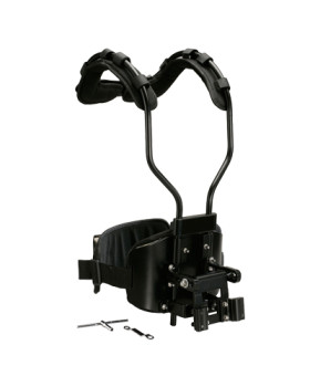 MAXTONE DCC10S