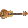 Укулеле PARKSONS UK21MS