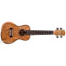 PARKSONS UK24FS Укулеле концерт