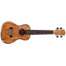 PARKSONS UK24FS Укулеле концерт