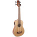 Укулеле бас FZONE FZUB-003 Bass Ukulele