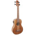 Укулеле бас FZONE FZUB-004 Bass Ukulele