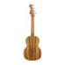 FENDER DHANI HARRISON UKULELE WN TURQUOISE Укулеле