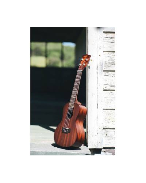 KALA MAKALA CONCERT UKULELE Укулеле