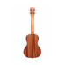 KALA MAHOGANY CONCERT UKULELE NO BINDING Укулеле